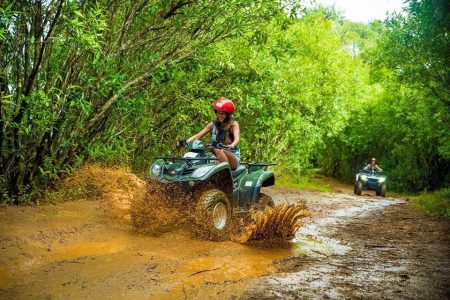 Bois Chéri  | La Vallee Des Couleurs – Private Transport